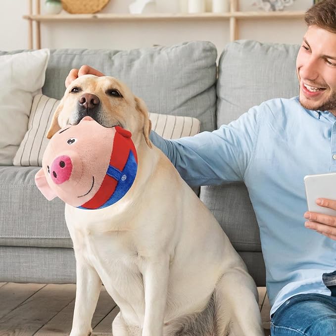 Interactive dog toy, a jumping pig, providing long-lasting pet entertainment.