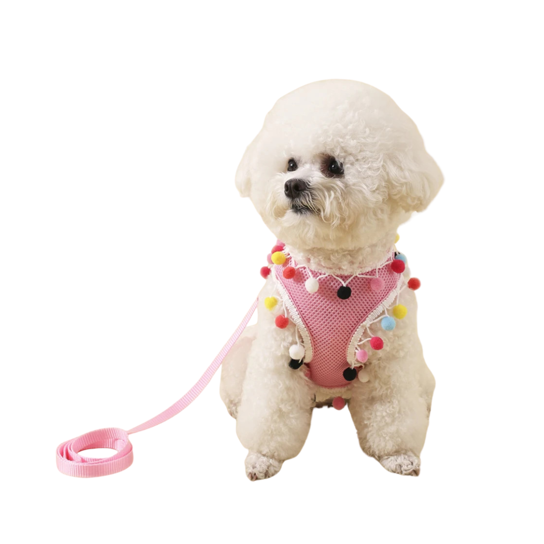 Small black mesh dog harness, breathable & lightweight, perfect for comfortable pet walking