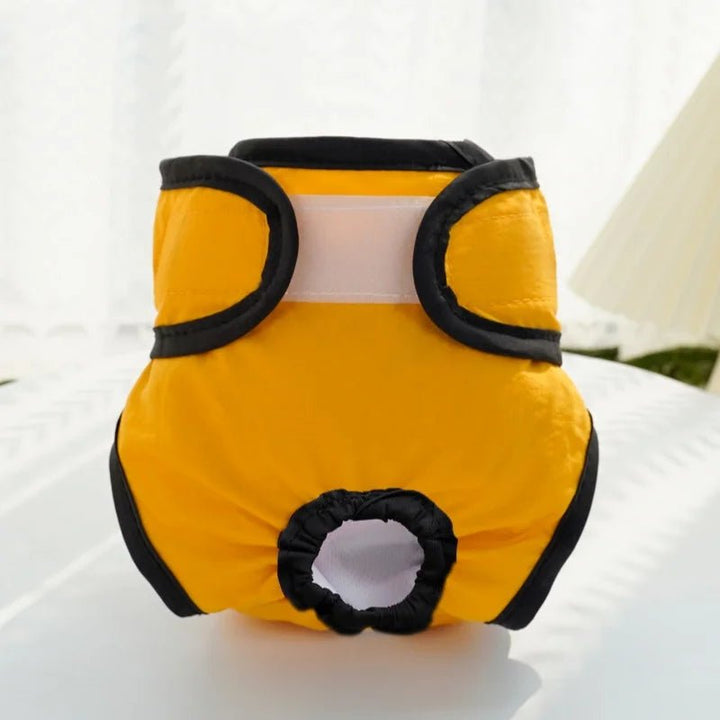 Female puppy wearing a soft, comfortable washable pet diaper, perfect for training and hygiene