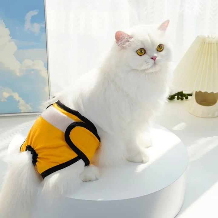Female cat wearing a comfortable, washable pet diaper for urinary incontinence aid