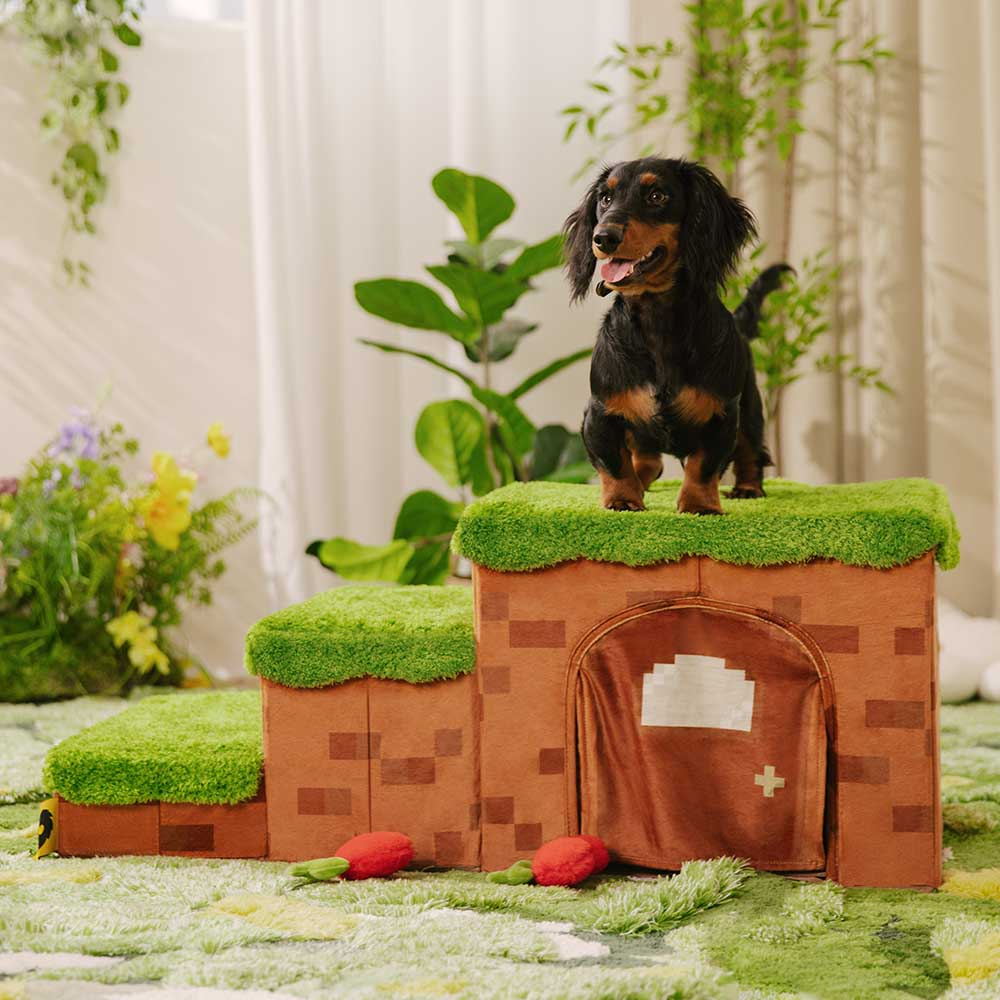 Pixel Pet Stairs with Storage & Condo, 3-step dog steps, contemporary dog furniture for small pets