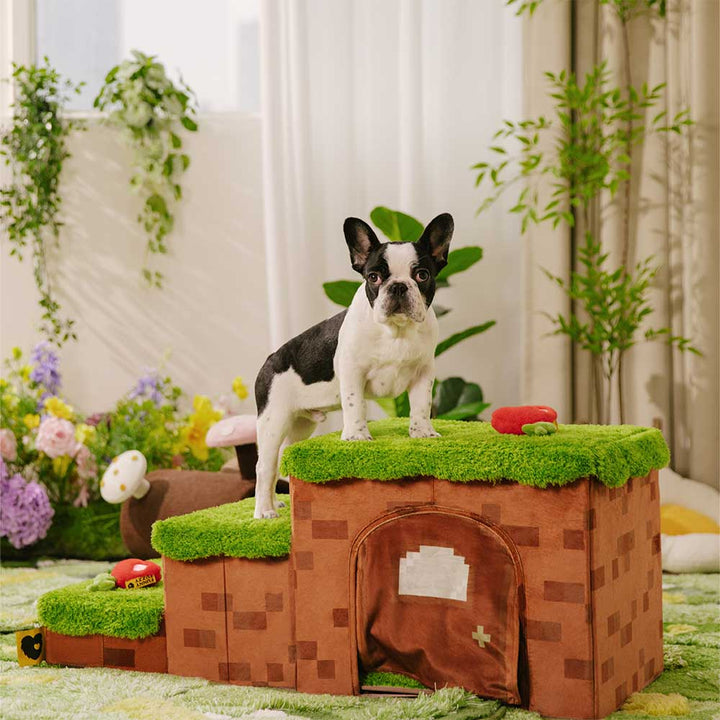 Pixel Pet Stairs, a stylish 3-step solution for small dogs & cats, includes storage & a pet bed