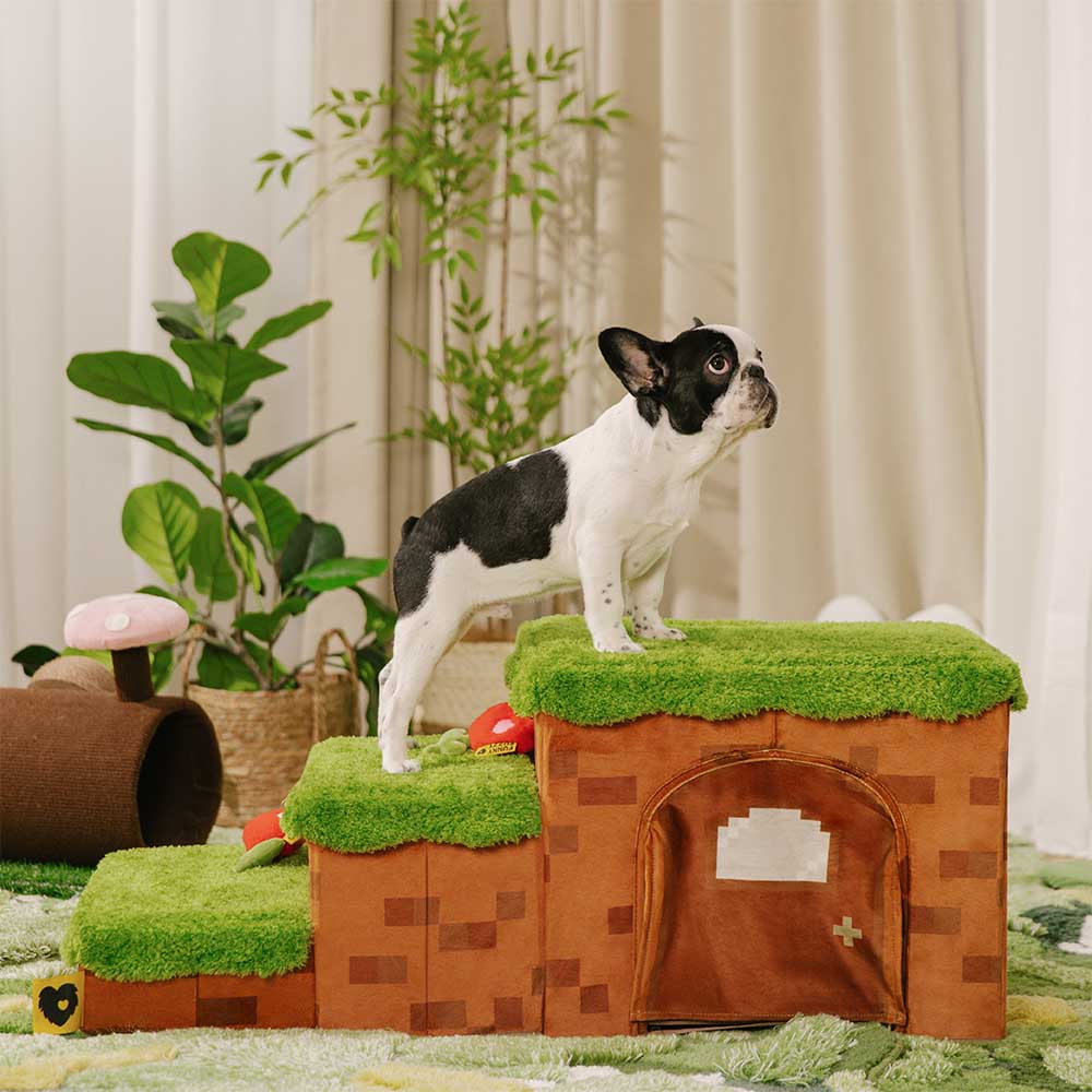 Pixel Pet Stairs & Condo, 3 steps, ideal for older dogs providing joint support and comfort