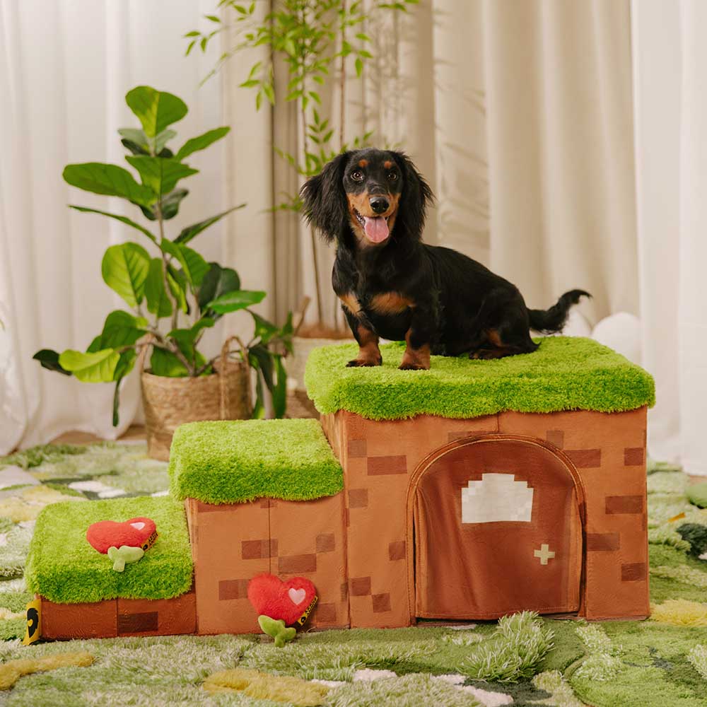 Foldable Pixel Pet Stairs, 3-step dog ramp with storage, ideal for joint support & small dogs