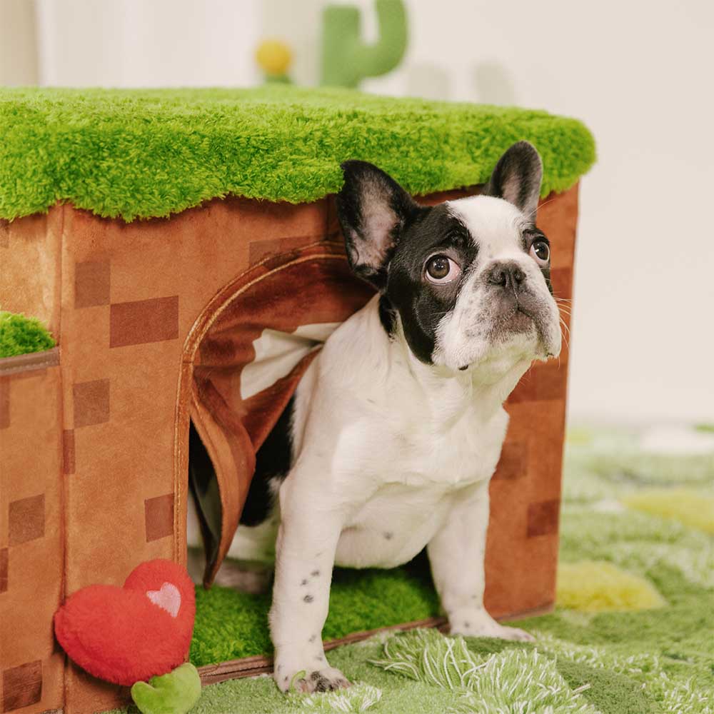Modern Pixel Pet Stairs with Storage and Condo, stylish dog furniture, perfect for small pets