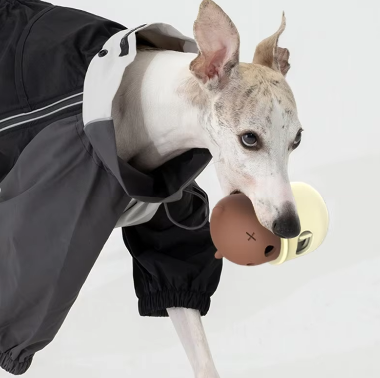 Plush bear dog toy with hidden click mechanism for interactive pet enrichment and training.