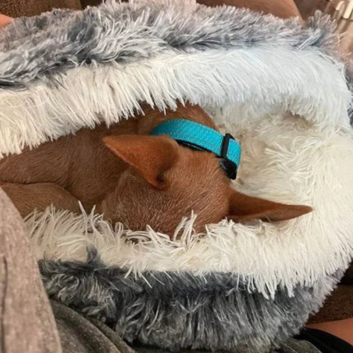 Small dog's calming cave bed. Cozy pet furniture offering anxiety relief & deep, restful sleep.