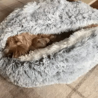Washable calming dog bed. Plush pet furniture providing deep sleep and anxiety relief for pets.