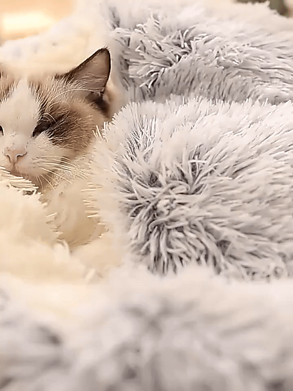 Round calming dog bed, a cozy pet cave for deep sleep. Ideal for anxiety relief in small pets.