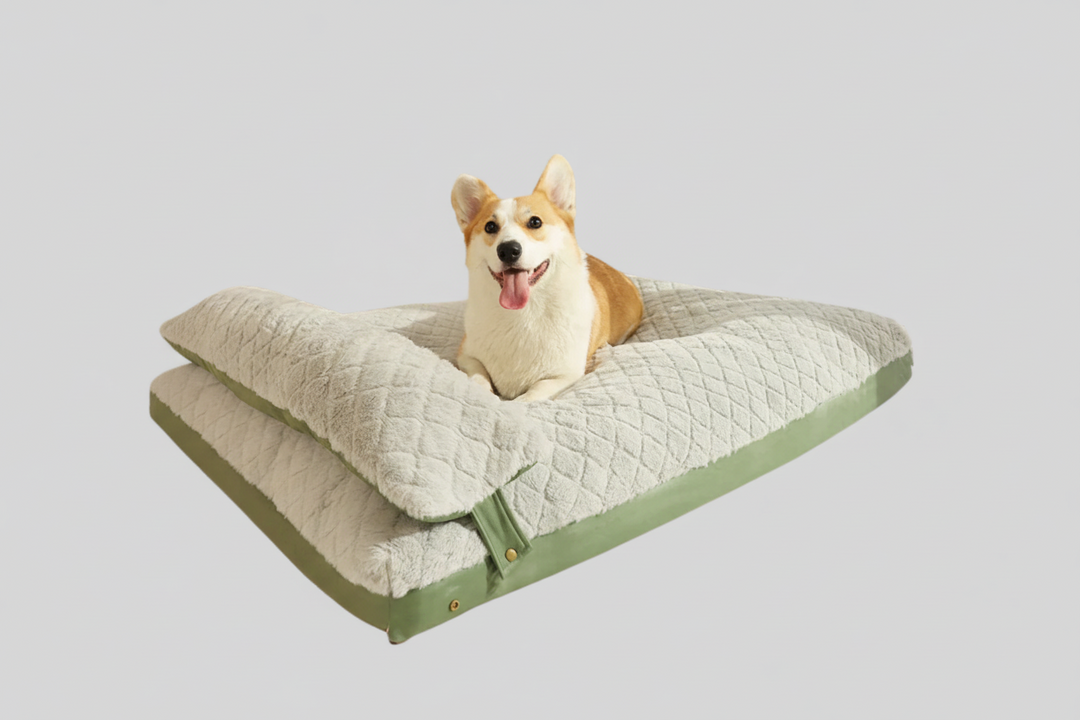 Comfortable round plush pet bed for dogs, featuring a supportive raised rim, ideal for small to medium breeds, washable.