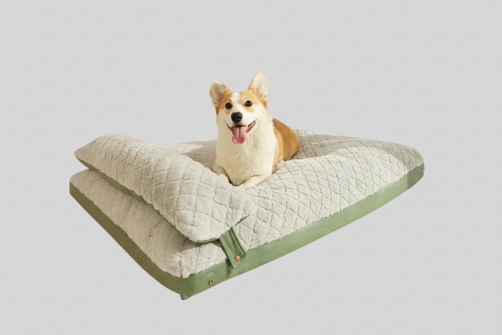 Comfortable round plush pet bed for dogs, featuring a supportive raised rim, ideal for small to medium breeds, washable.