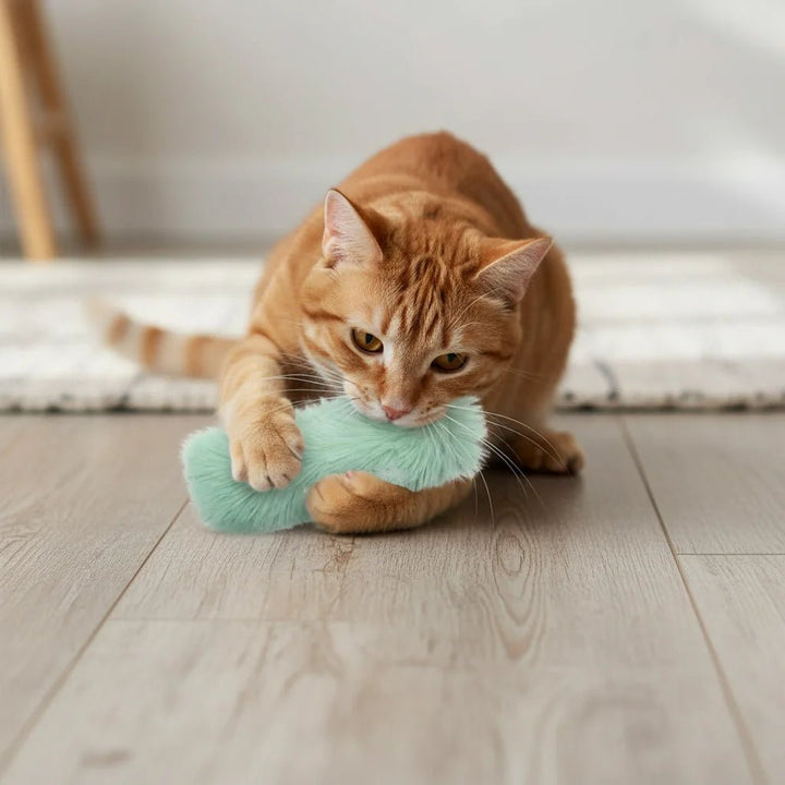Assortment of colorful catnip plush toys, perfect for engaging and entertaining cats.
