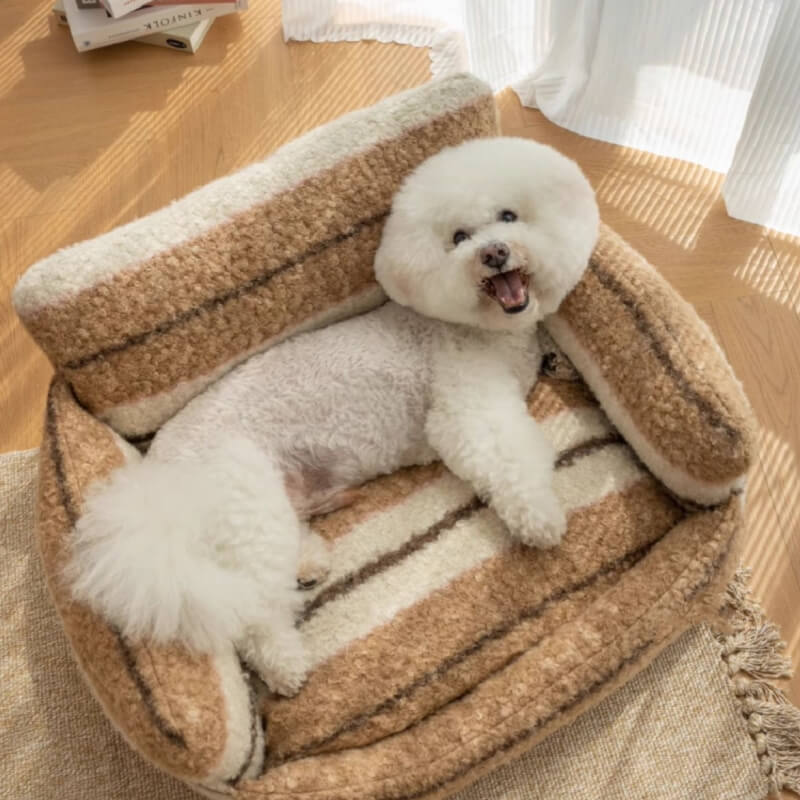 Luxurious pet sofa bed, cozy plush material, provides ultimate comfort for cats.