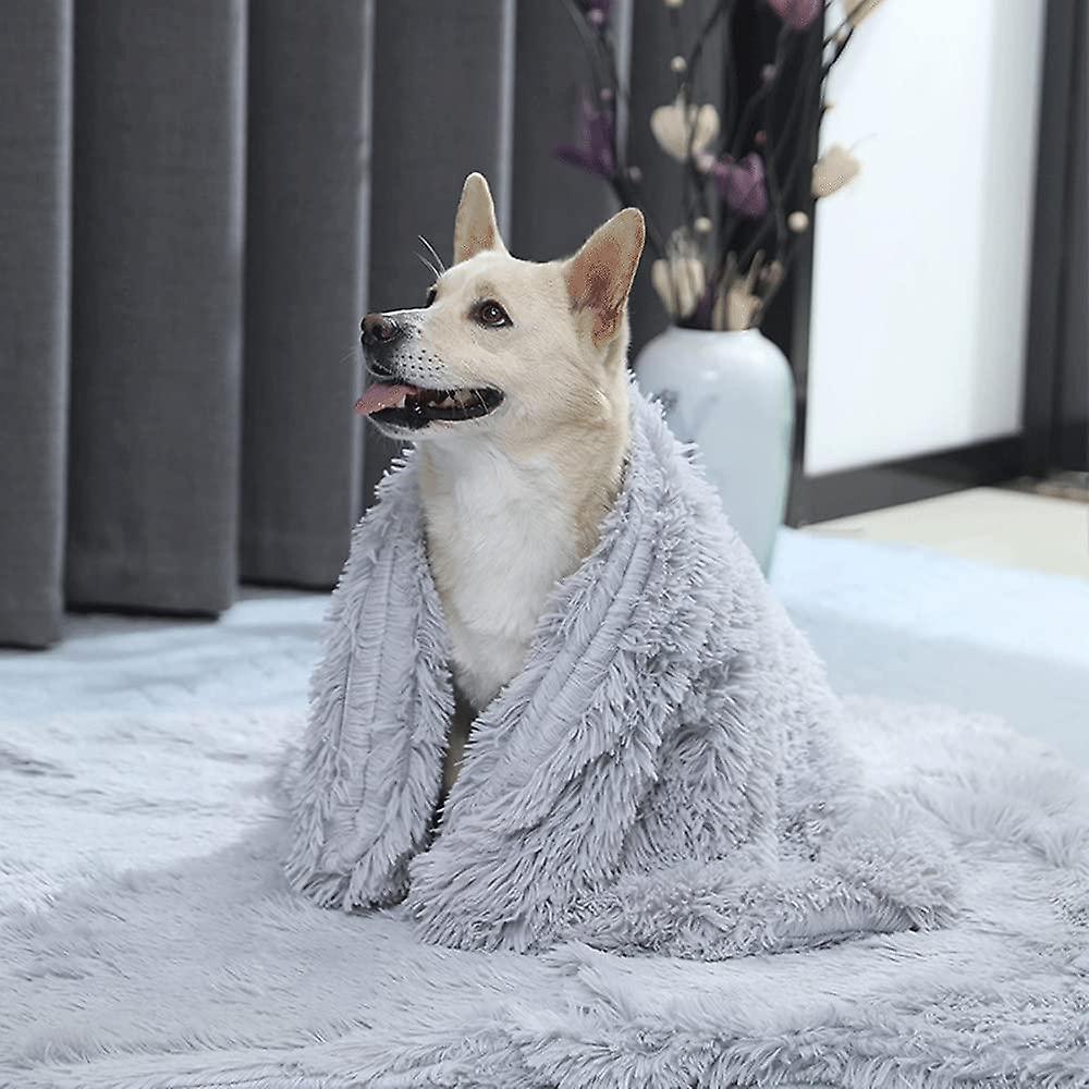 Cozy cat blanket, beige, plush pet bedding for ultimate comfort