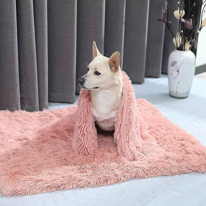 Washable pet blanket, blue, for dogs & cats, soft warmth & comfort