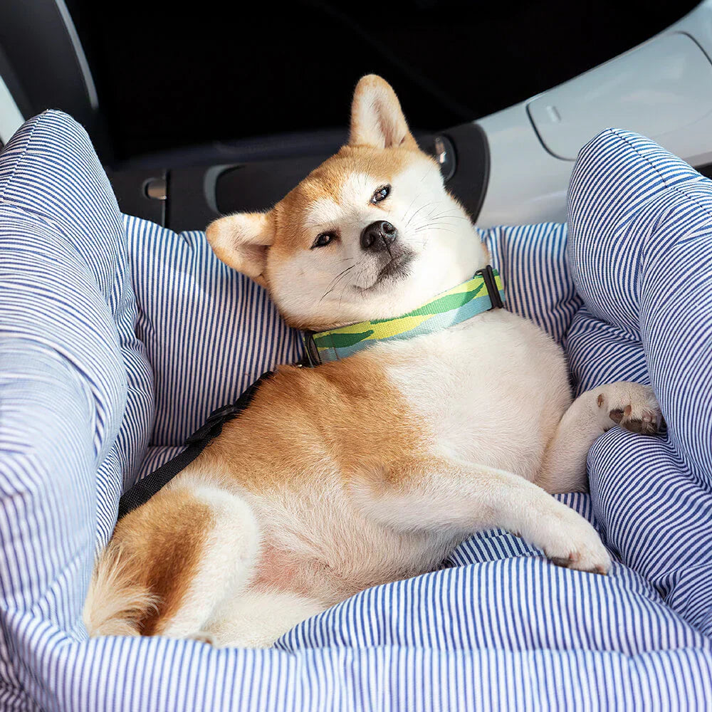 Dog travel bed and car seat, ideal for small dogs, soft and washable cover.