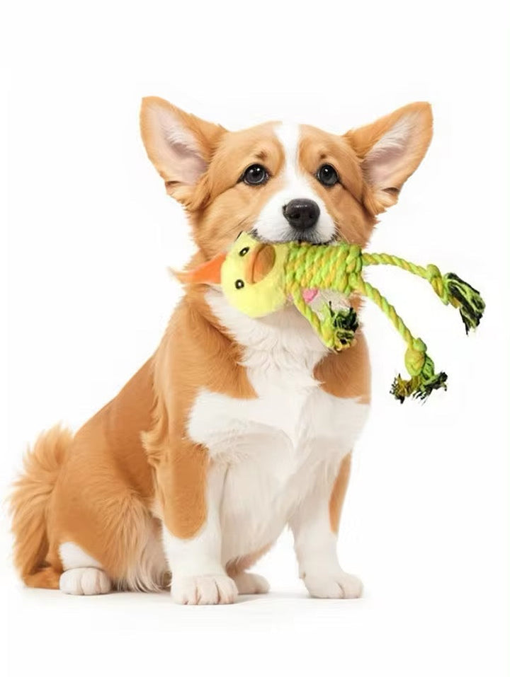 Durable animal plush dog toy, squeaky for endless pet entertainment
