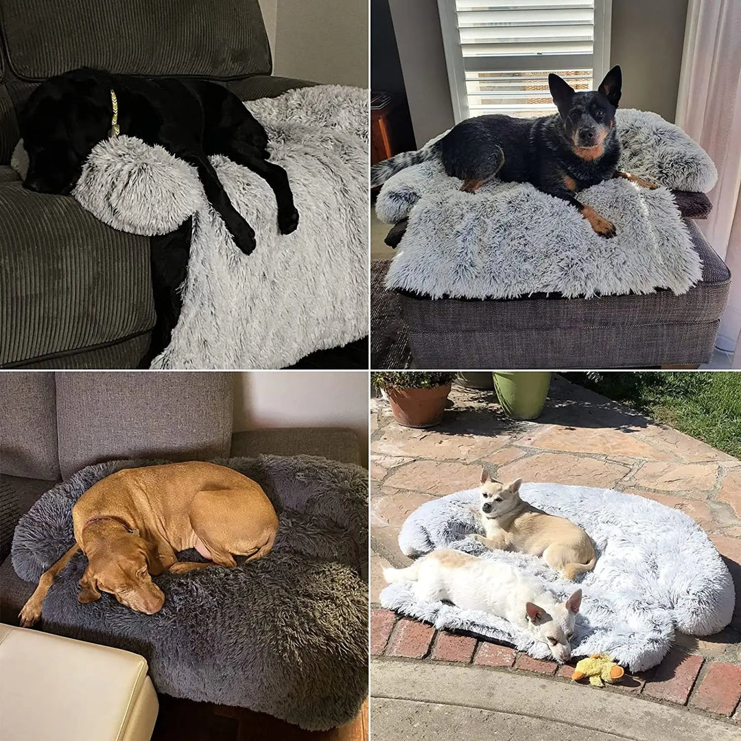 Luxury pet sofa bed, machine washable, featuring a removable cushion and joint support
