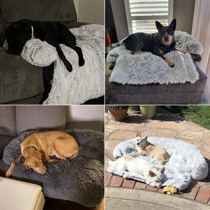 Luxury pet sofa bed, machine washable, featuring a removable cushion and joint support