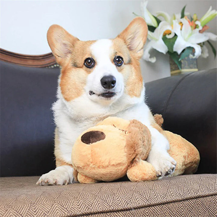 Interactive heartbeat dog toy providing pet comfort and anxiety relief, grey color