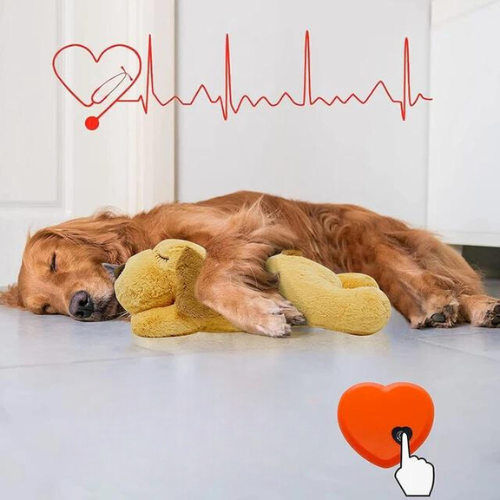 Plush dog toy with simulated heartbeat for puppy anxiety relief and comfort, washable for hygiene.