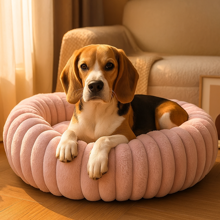 Cozy circular donut pet bed with raised rim for head and neck support, for medium dogs.