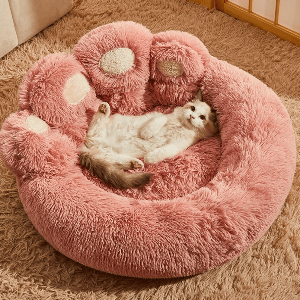Luxury pet furniture: plush donut dog bed, sofa design, washable