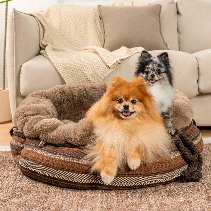 Plush donut dog bed in cream, cozy and round, for small to medium pets.