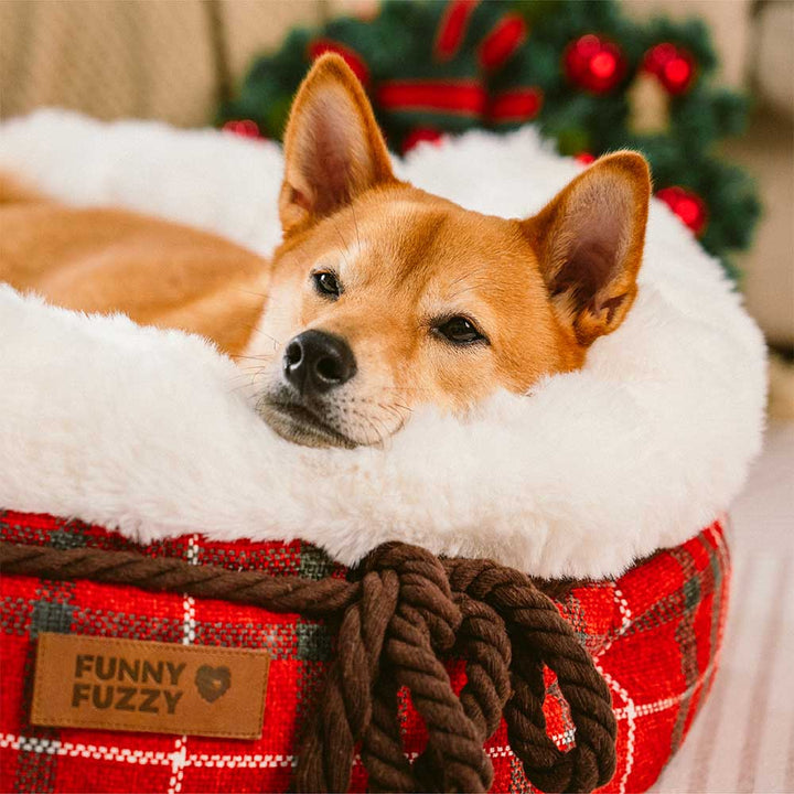Creamy beige donut dog bed, plush and deep, for a small to medium dog's comfort.
