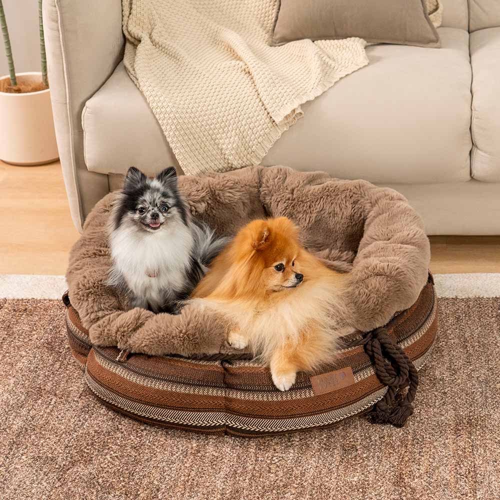 Cozy pet bed, plush donut shape, ideal for small and medium dogs, washable.