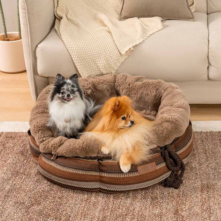 Cozy pet bed, plush donut shape, ideal for small and medium dogs, washable.