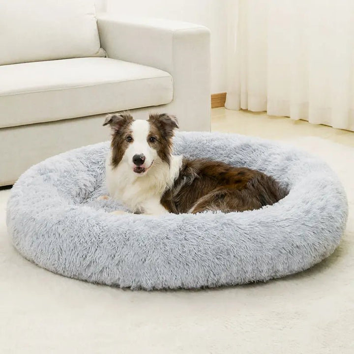 Soft cotton donut bed, light gray, a comfortable and stylish pet accessory