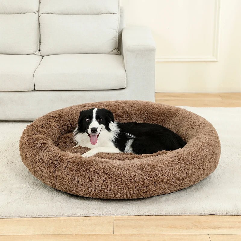 Orthopedic donut pet bed for dogs and cats, plush and supportive for joints