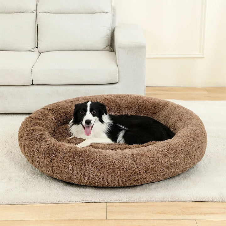 Orthopedic donut pet bed for dogs and cats, plush and supportive for joints