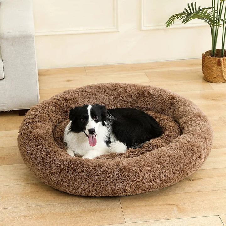 Soft cat donut bed, round and fluffy, gray color, for ultimate pet comfort