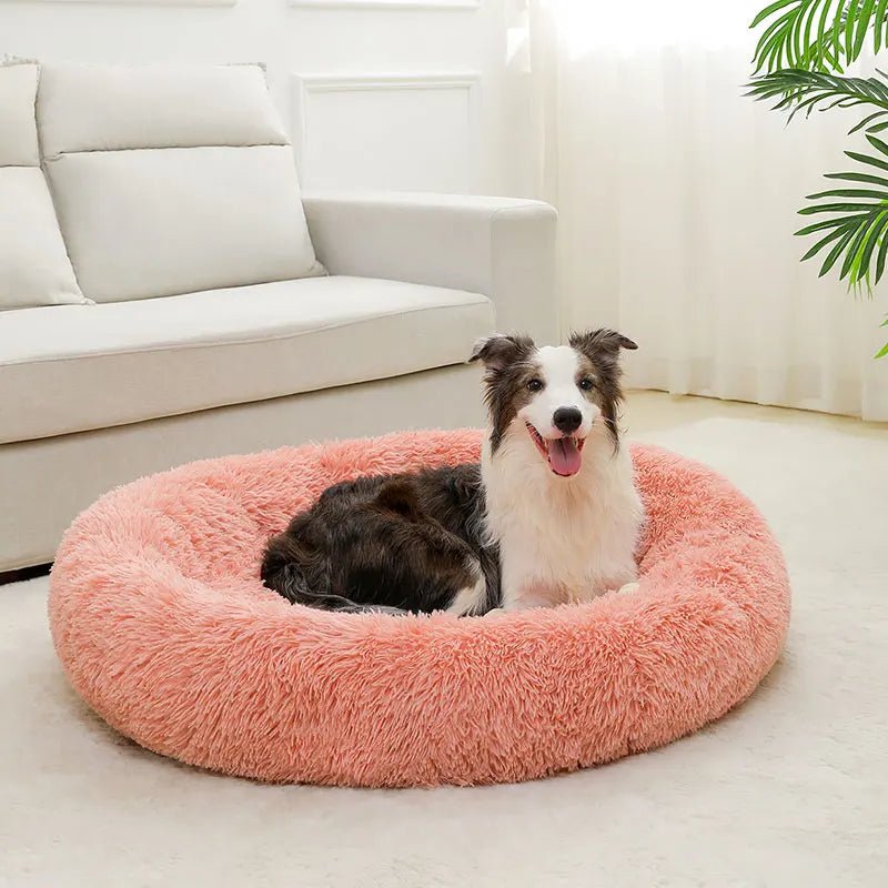 High-quality plush pet bed with raised rim for head and neck support