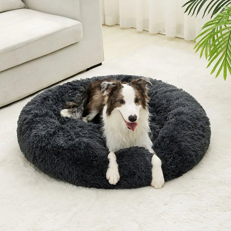 Cozy pet bed, donut design, offering a sense of safety for anxious pets