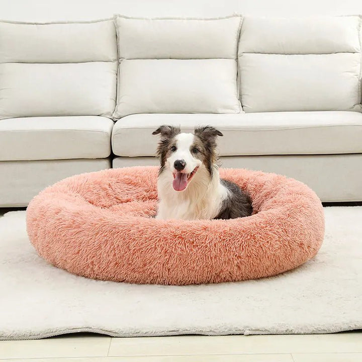 Plush pet bed for ultimate comfort, donut shape, suitable for all seasons