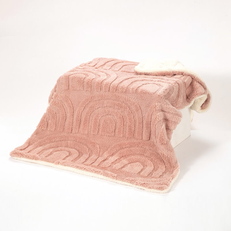 Soft pet blanket, plush and double-sided for warmth, a practical machine washable pet accessory.