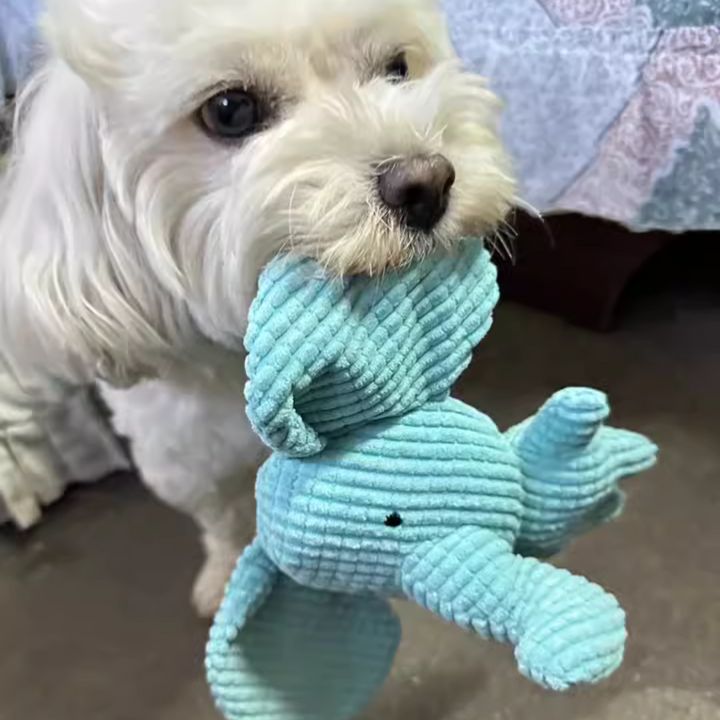 Soft, machine washable elephant dog toy designed for comfort, chewing, and interactive sound engagement.