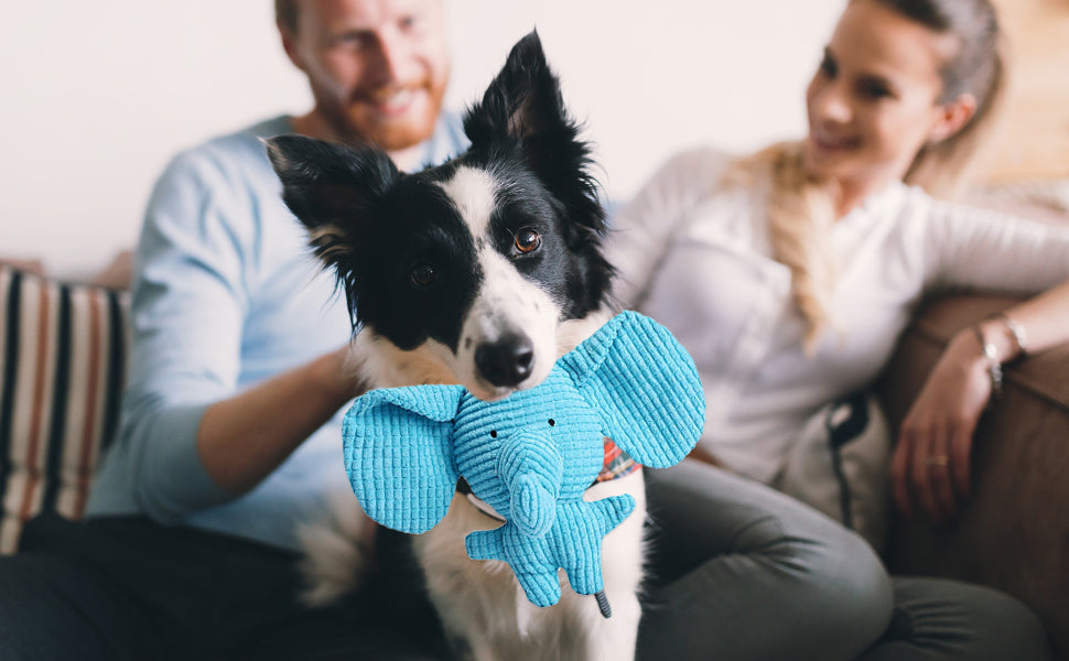Interactive calming elephant plush dog toy, perfect for anxiety relief and gentle chewing with pet-safe features.