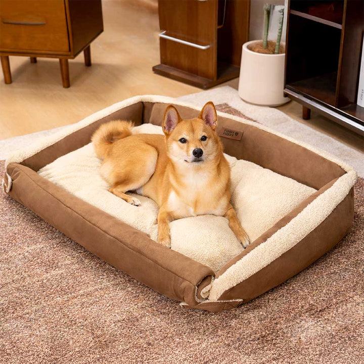 Ergonomic dog bed in a living room setting, showcasing its plush comfort