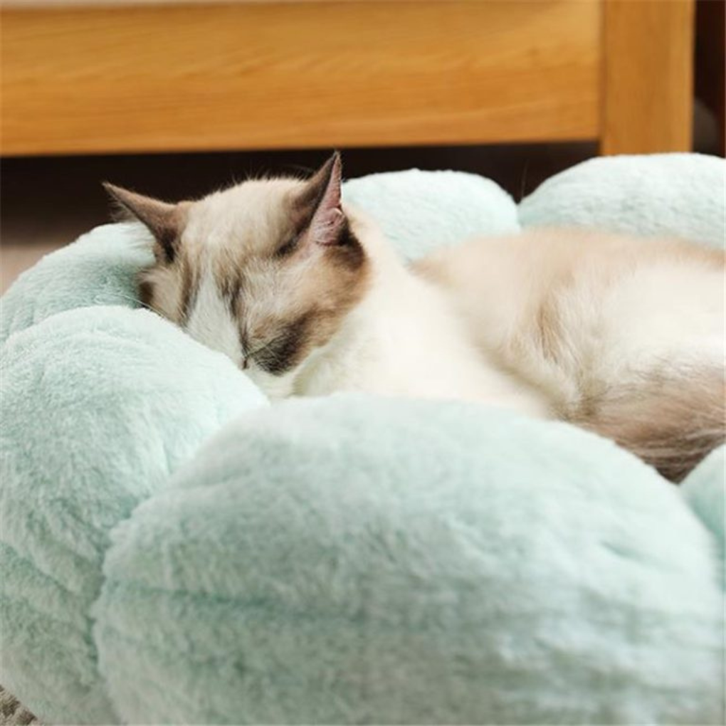 Plush flower petal cat bed, cozy napping spot for small cat