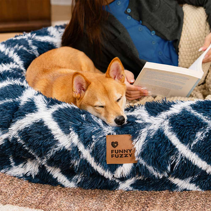 Large fluffy donut dog bed providing cozy comfort for pets and humans, soft plush material.