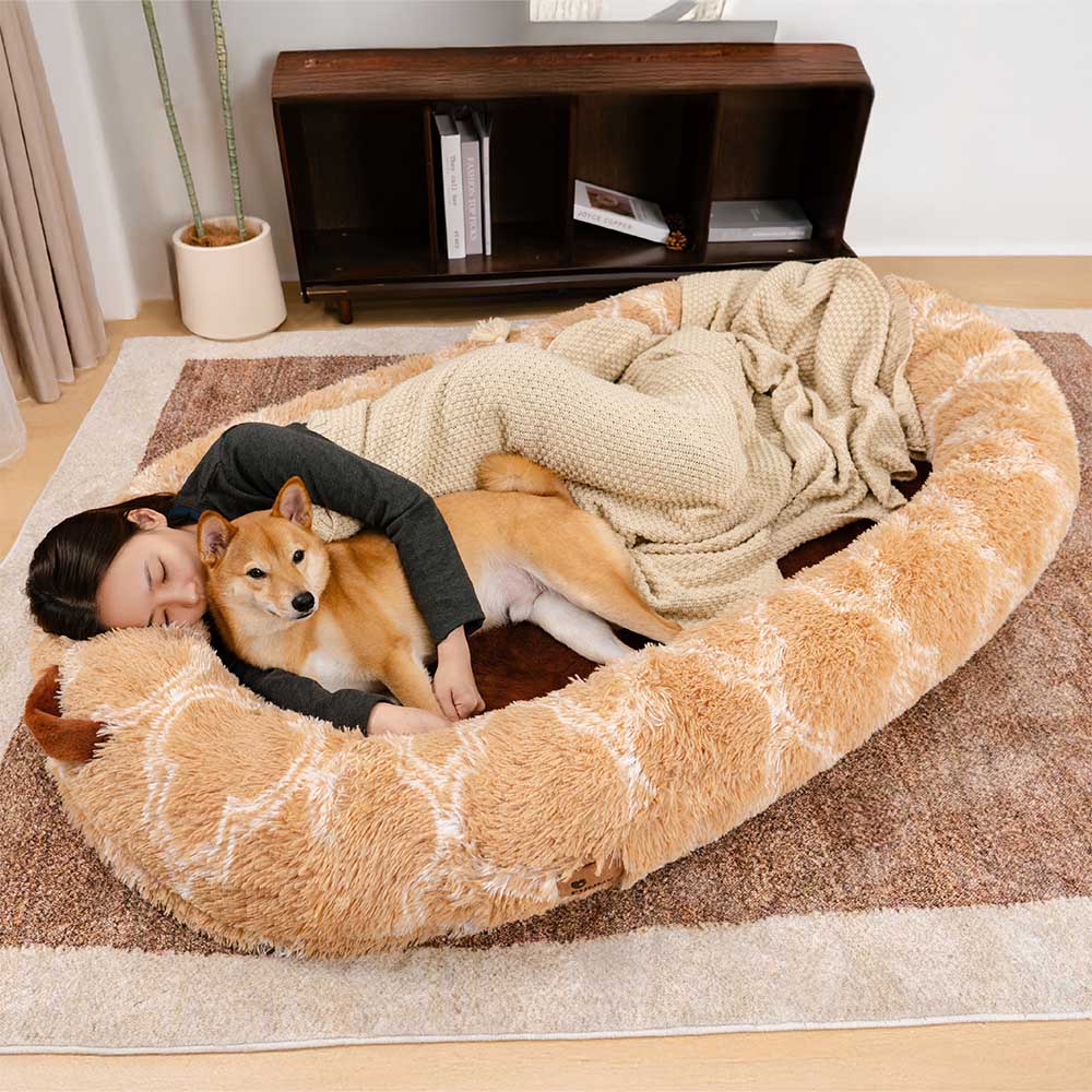 Gray fluffy donut pet bed, a luxurious and cozy pet furniture piece for cuddles.