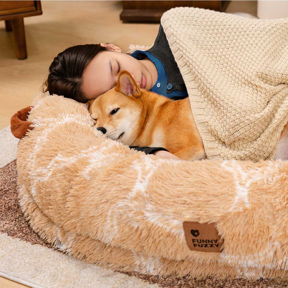 Human and pet snuggling together in a spacious fluffy donut cuddle bed, ultimate comfort.