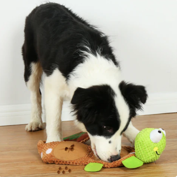 Durable interactive plush turtle dog toy with hidden treat pockets for foraging and squeaky fun.