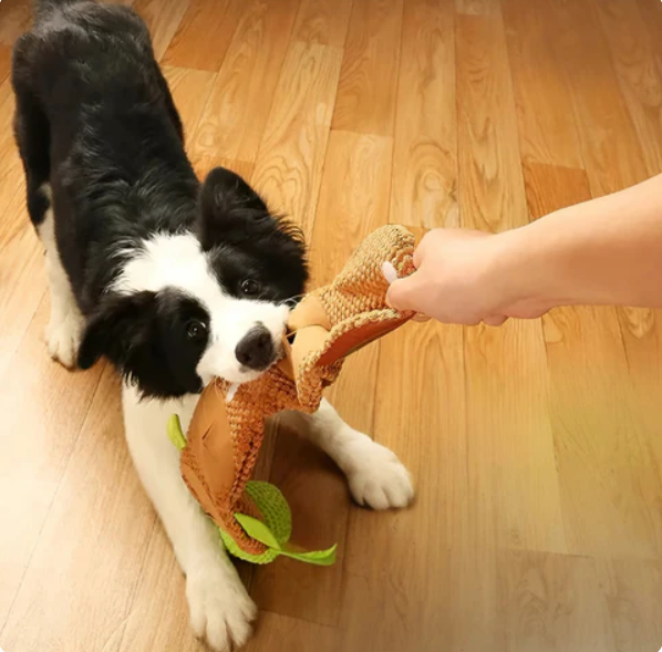 Green plush turtle dog toy with treat pockets, perfect for interactive play and mental stimulation for dogs.