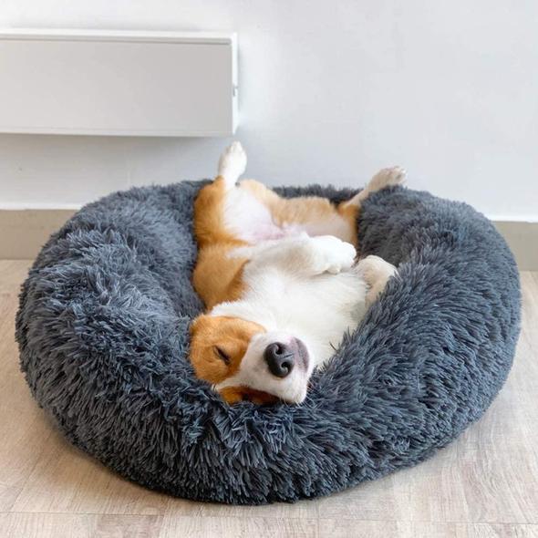 Cute cat curled up in a snug deep sleep pet bed, feeling secure & anti-anxiety.