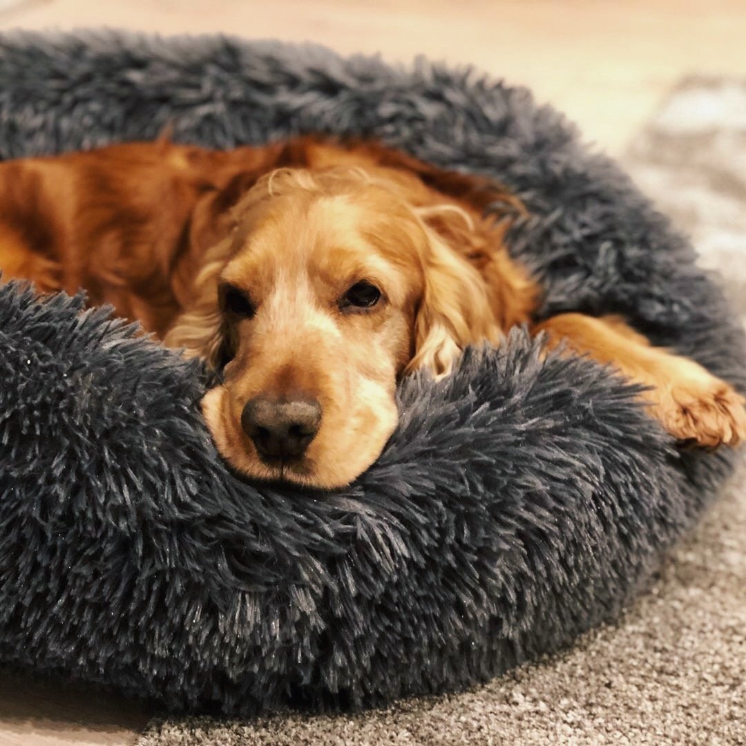 Pet bed shown with care instructions label: washable for anti-anxiety deep sleep.